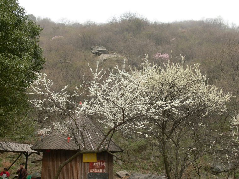 p1090450.jpg