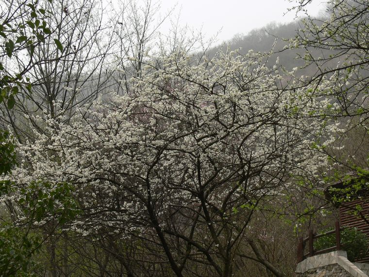 p1090455.jpg