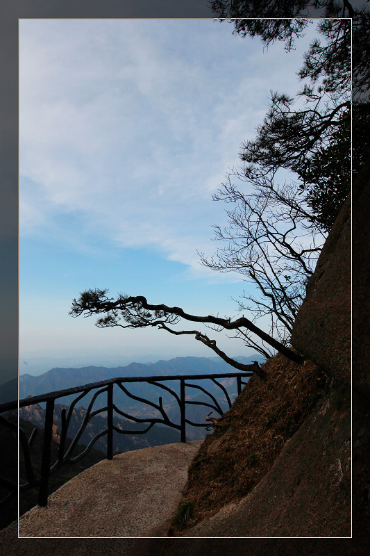 img_7185.jpg