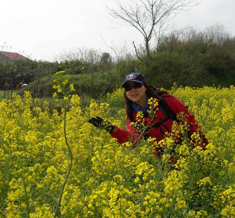 dscn7154.jpg