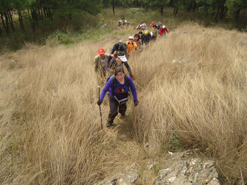  snc10016.jpg