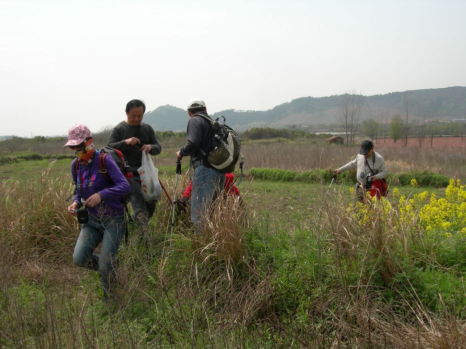 dscn7215.jpg