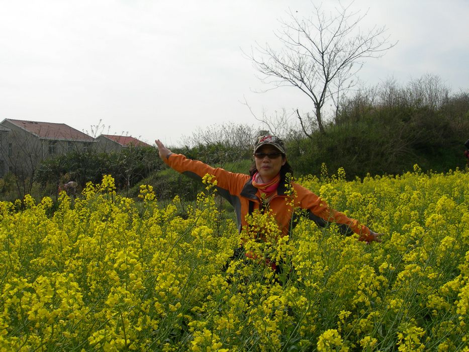 dscn7157.jpg