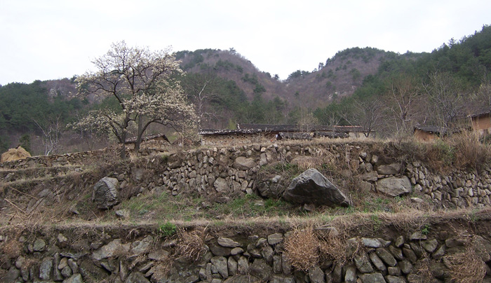 20100327﹵ʹʯ 003.jpg