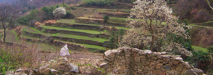 20100327﹵ʹʯ 008_1.jpg