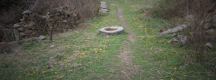 20100327﹵ʹʯ 009_.jpg