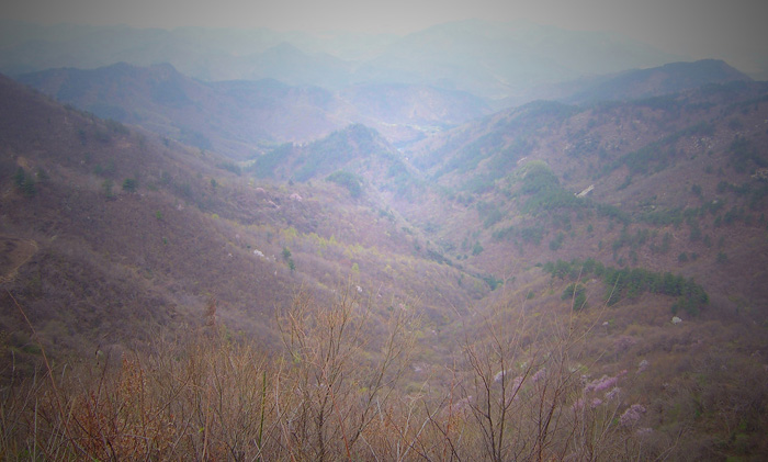 20100327﹵ʹʯ 014_1.jpg