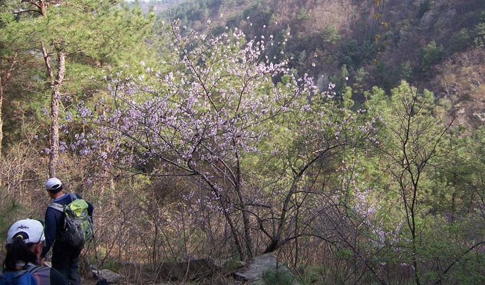 20100327﹵ʹʯ 044_.jpg