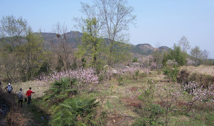 20100327﹵ʹʯ 049_.jpg