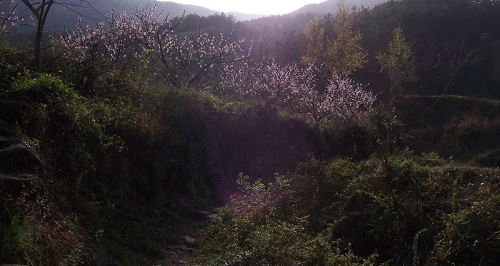 20100327﹵ʹʯ 050_.jpg