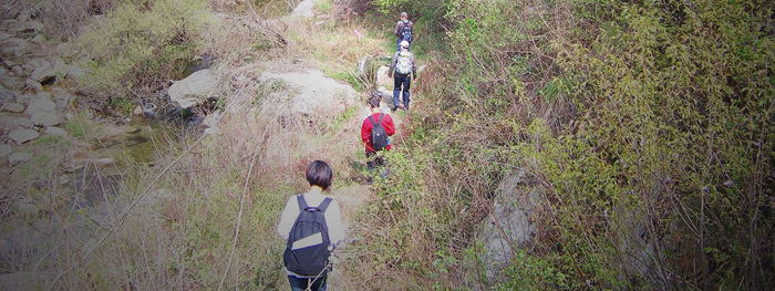 20100327﹵ʹʯ 001_.jpg