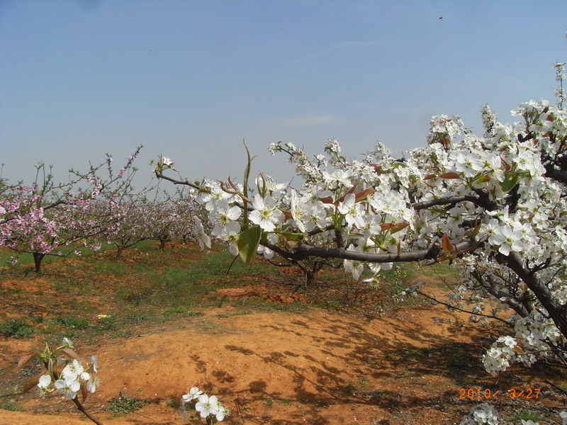 ar0017654.jpg