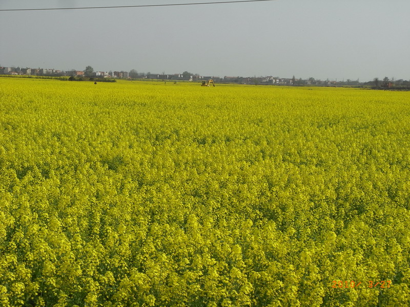 ar0017691.jpg