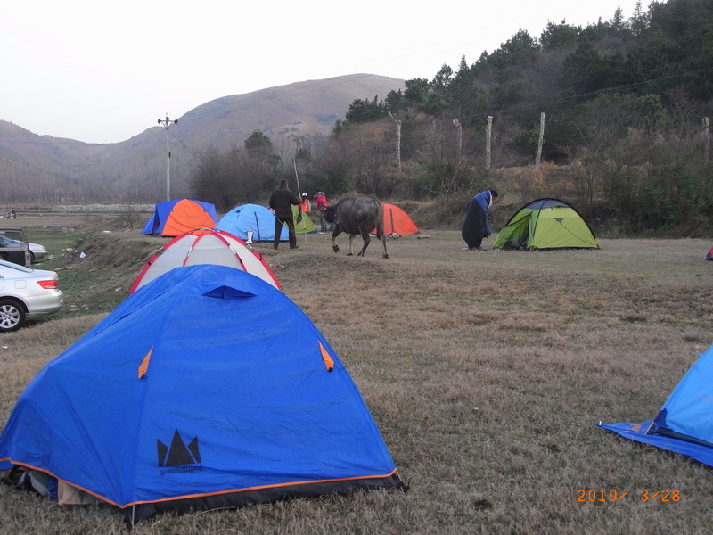 ar0017704.jpg