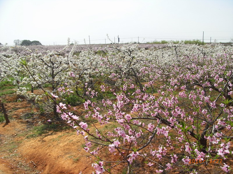 ar0017653.jpg