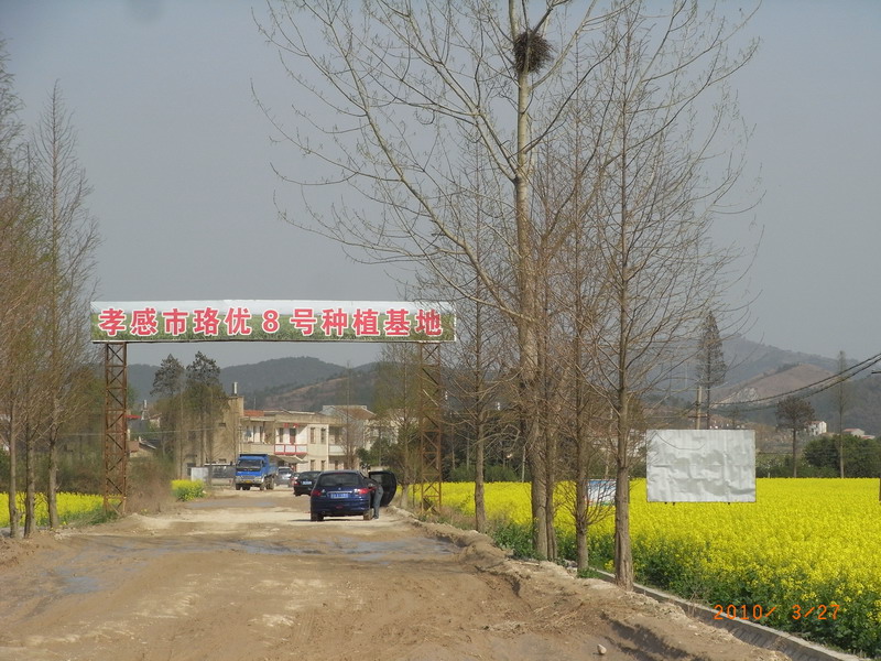 ar0017694.jpg