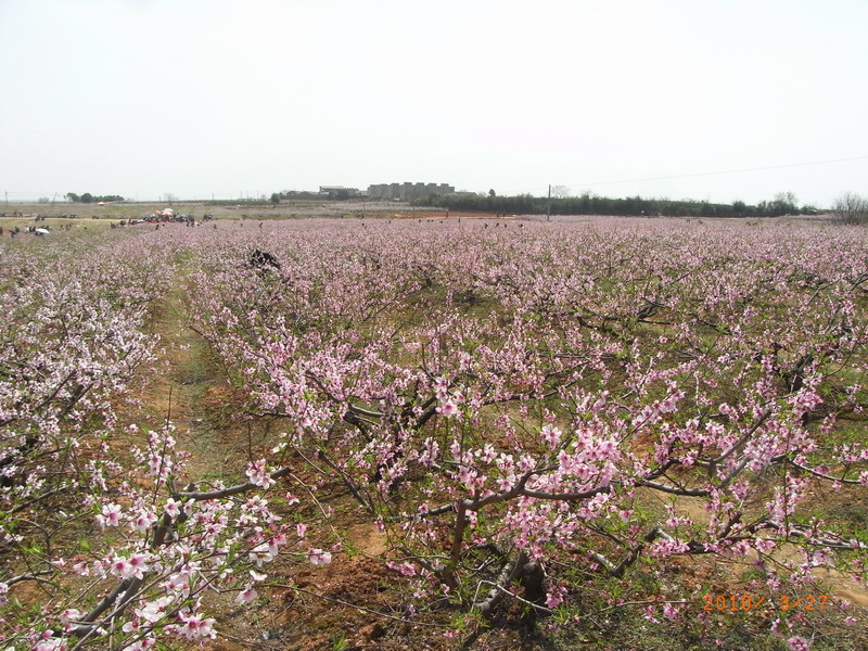 ar0017623.jpg