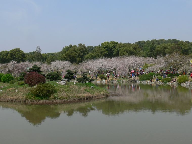 p1090515.jpg