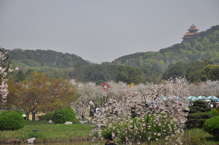dsc_0326.jpg