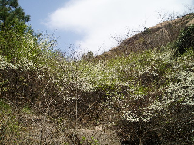 p1011009.jpg