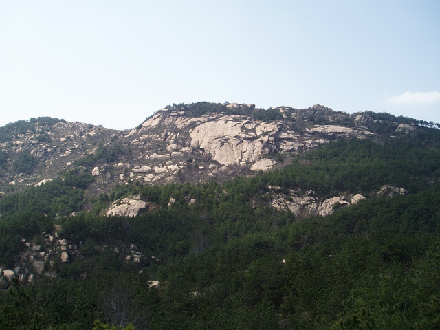 p1011019.jpg
