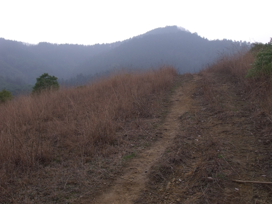 2010-2-27 097.jpg