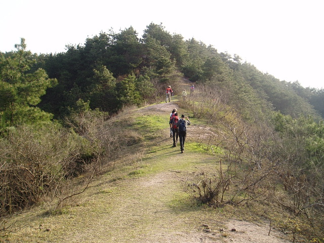 p1011024.jpg