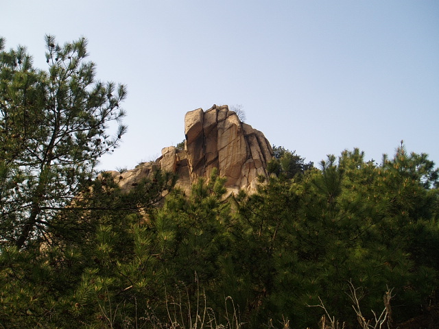p1011025.jpg