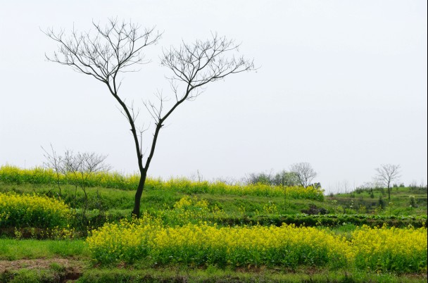 ˵1.jpg