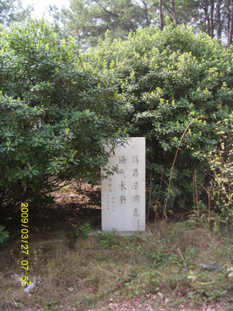 s73f1494.jpg
