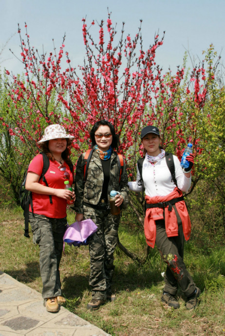 img_7681.jpg