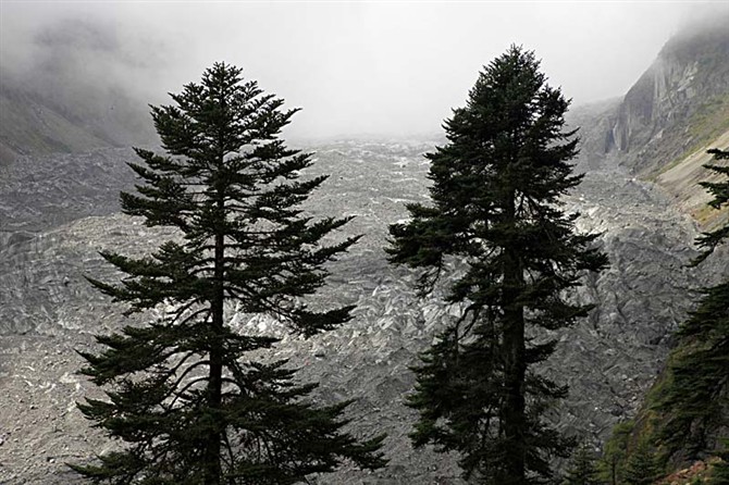 ޱʧĺݹ.jpg