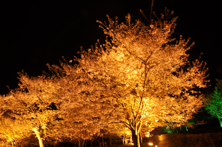 dsc_0035.jpg