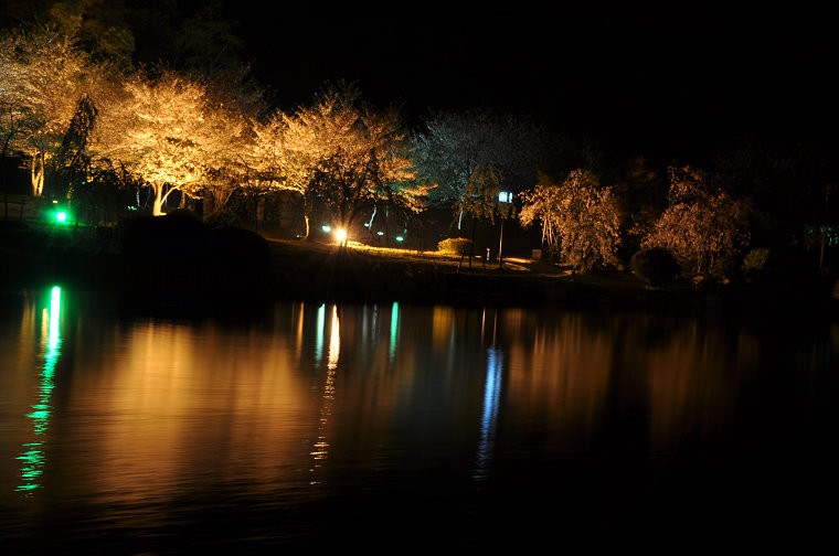 dsc_0044.jpg