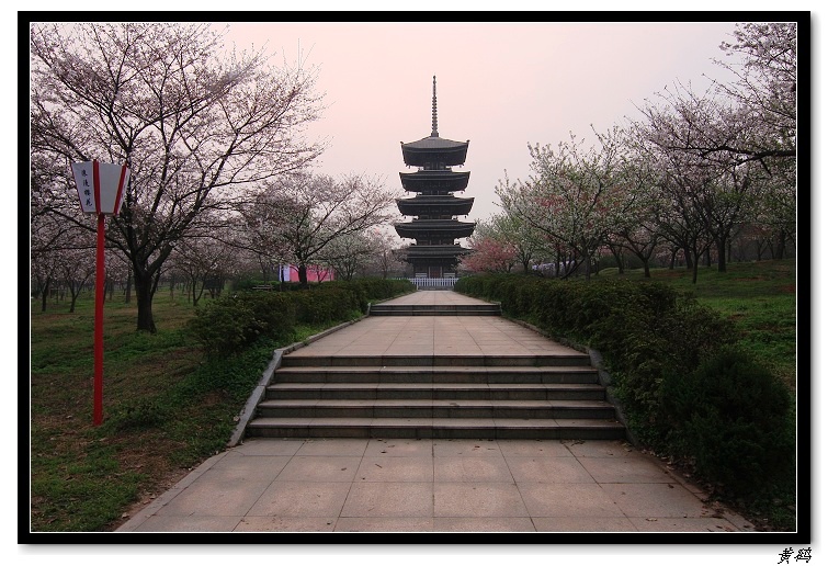 ӣ֮036.jpg