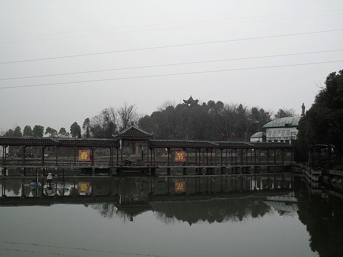 neo_img_sdc15398.jpg