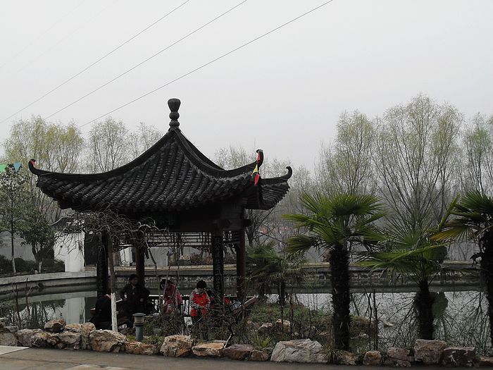 neo_img_sdc15407.jpg