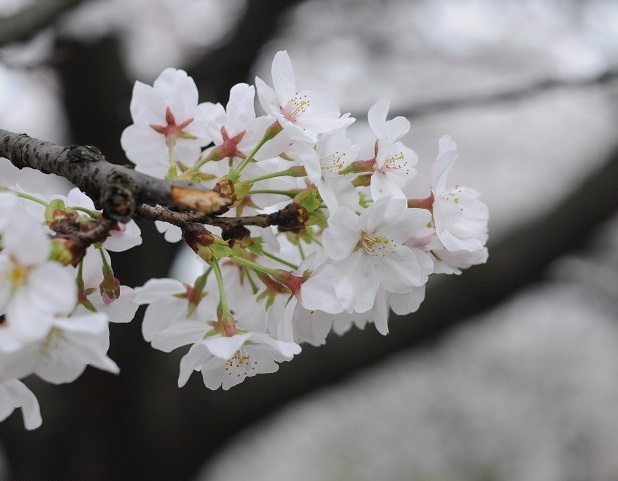 201032021751869.jpg