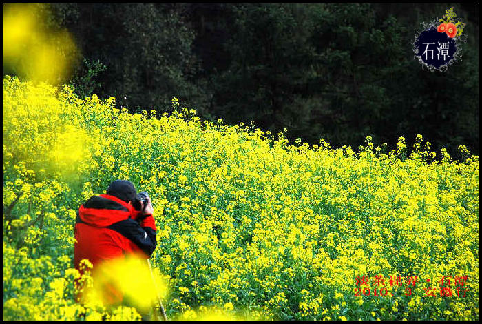dsc_0432_Ӱ_4.jpg