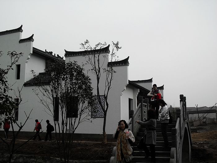 neo_img_sdc15427.jpg