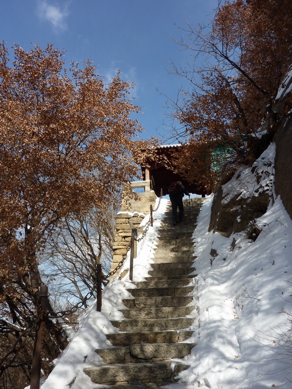 p1010189.jpg