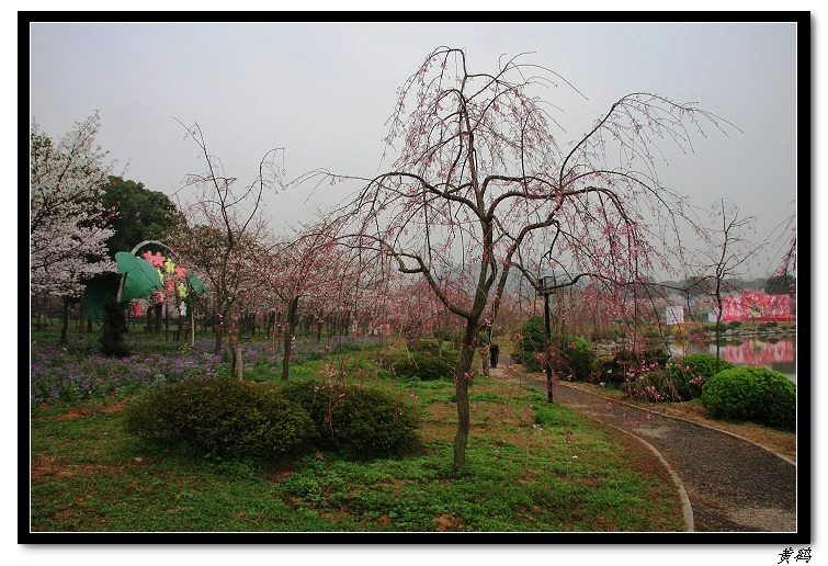 ӣ֮041.jpg