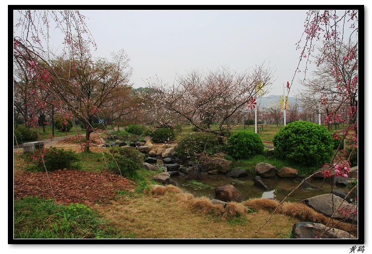 ӣ֮042.jpg