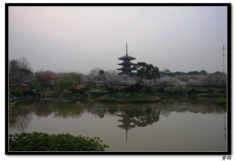 ӣ֮044.jpg