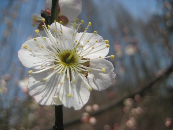 img_2964.jpg