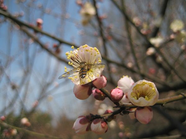 img_2991.jpg