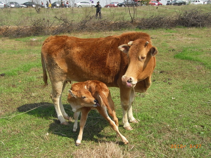 ar0017669.jpg