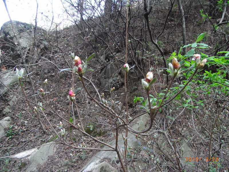 ar0017727.jpg