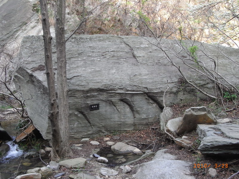 ar0017716.jpg