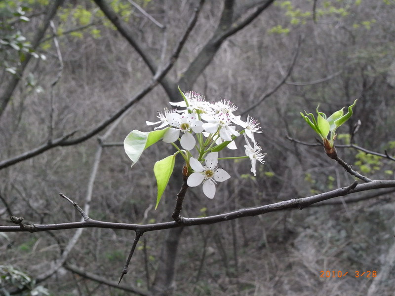 ar0017715.jpg